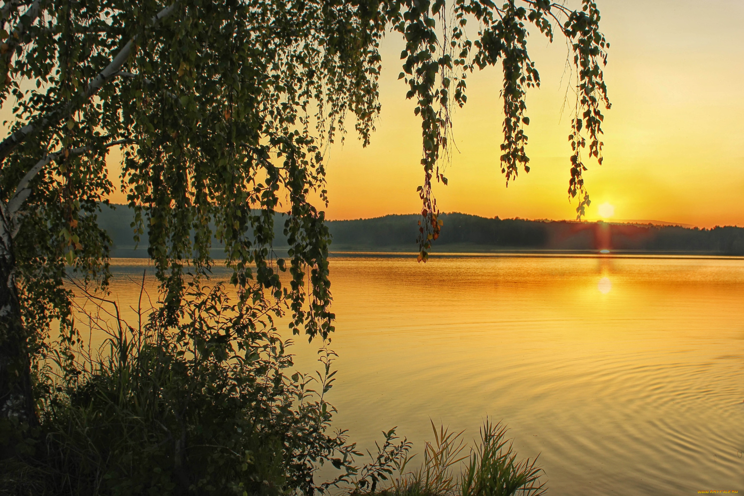 Вечером заря желто зеленой. Закат на озере. Летний закат над рекой. Летний закат на реке. Рассвет на озере.